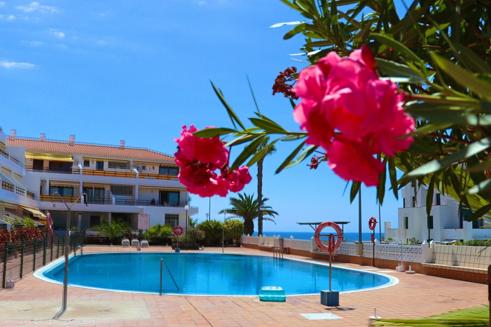 Sunflower Apartment Just Relax Puerto de Santiago  Buitenkant foto